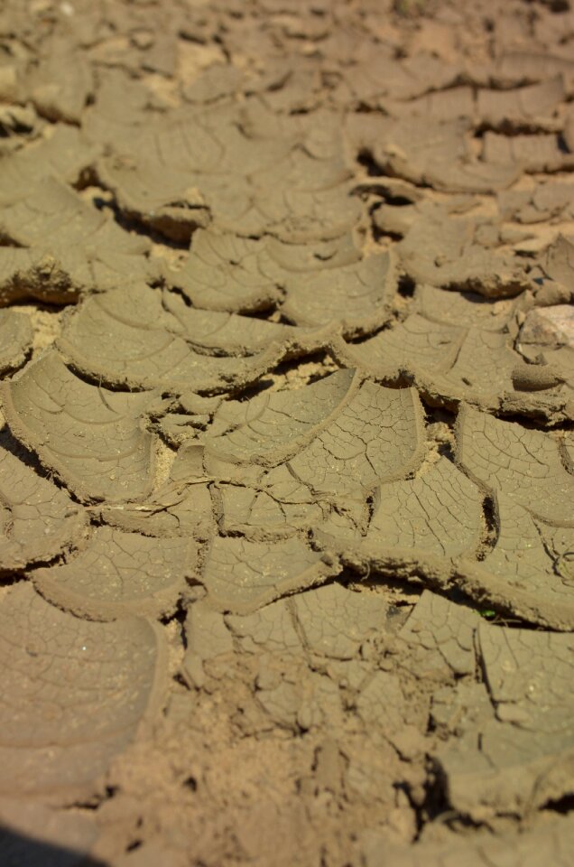 Dehydrated dry cracks