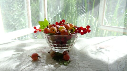 Berry window gooseberry