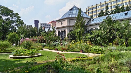 Jardin des plantes budapest garden