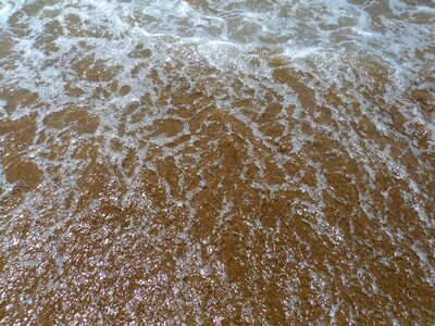 Beach ocean water photo