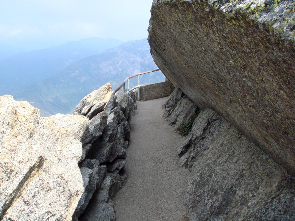 Sequoia national park california