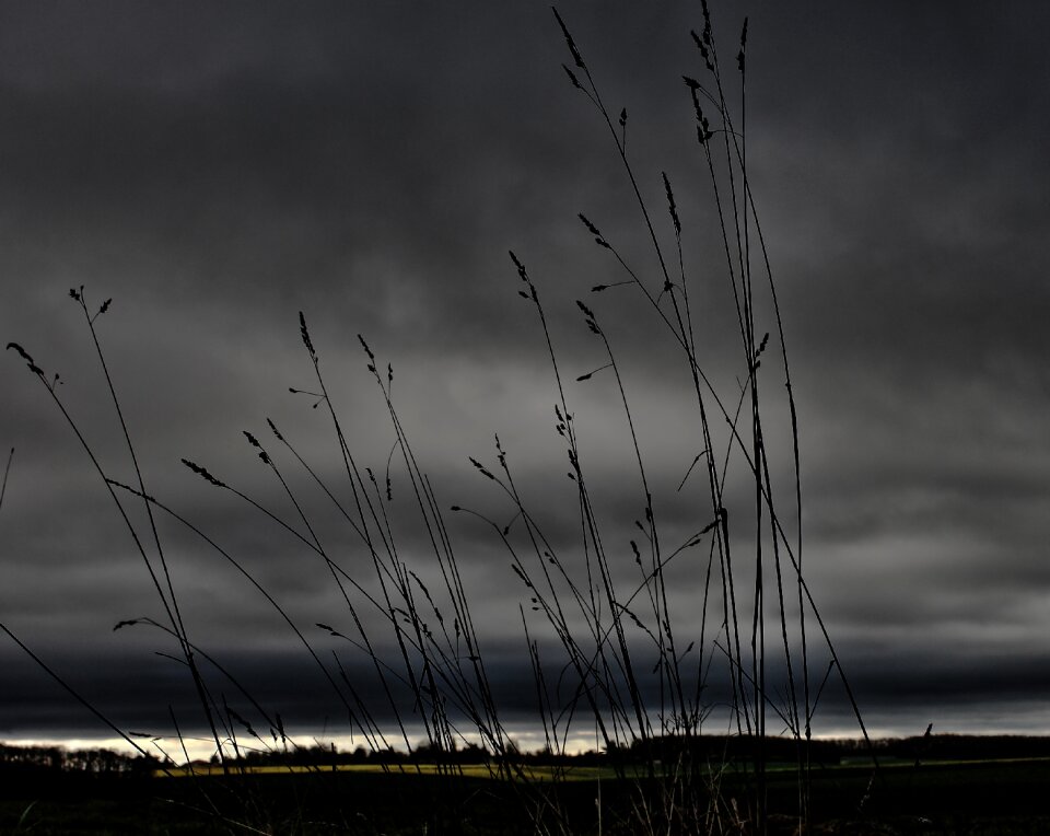 Stormy twilight grass