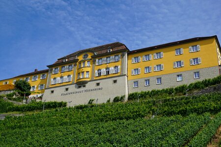 Vineyard high school boarding school