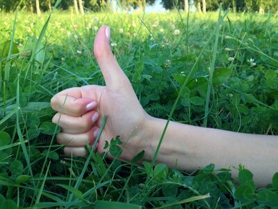 Positive finger grass photo