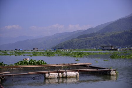 Xiong jiang views full frame camera
