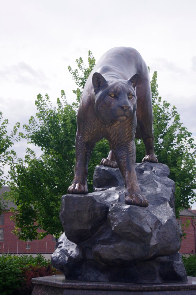 Cat sculpture