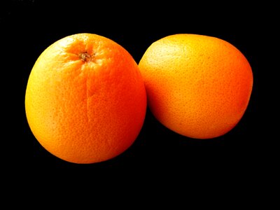 Contrast exotic citrus