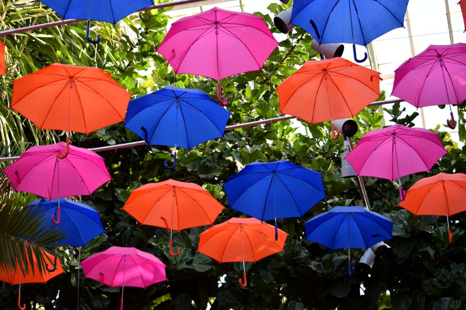 Phipps conservatory pittsburgh colored umbrellas