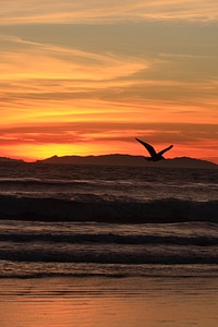 Coast huntington beach