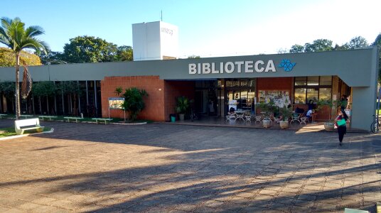 Library unesp books