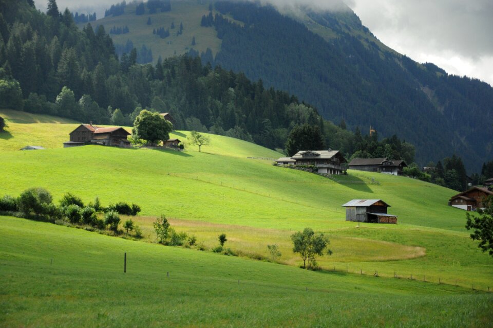 Summer nature landscape