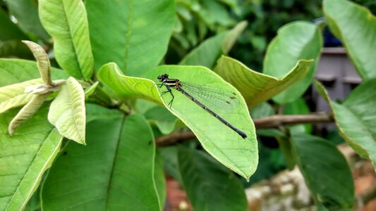 Nature rajat malakar