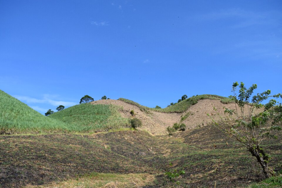 Nature risaralda colombia