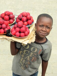 Seller boy fruit photo