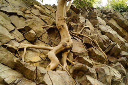 Cliff nature it is interesting to