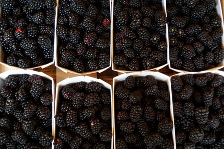 Delicious fruit eat