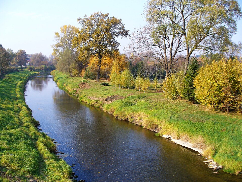 Nature brook green