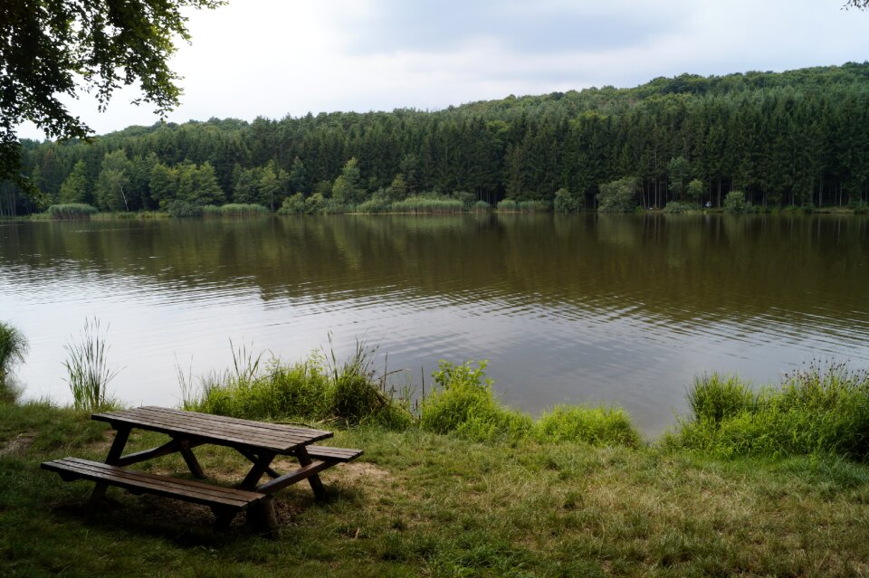 Nature forest mood