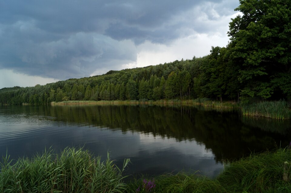 Nature landscape forest