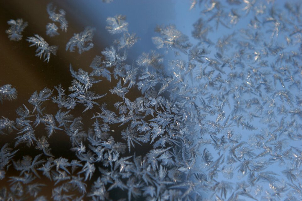 Flake cold