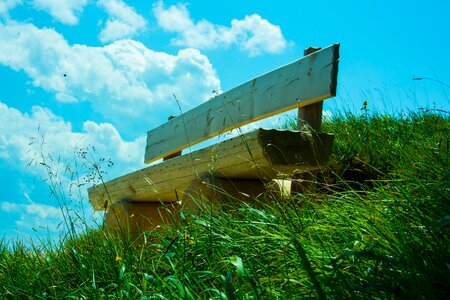 Nature green resting place