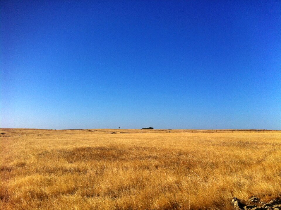 Portugal summer desertification