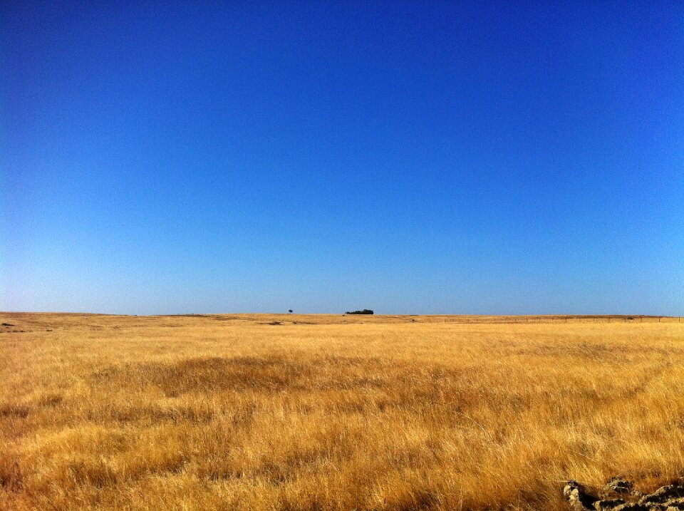 Portugal summer desertification photo