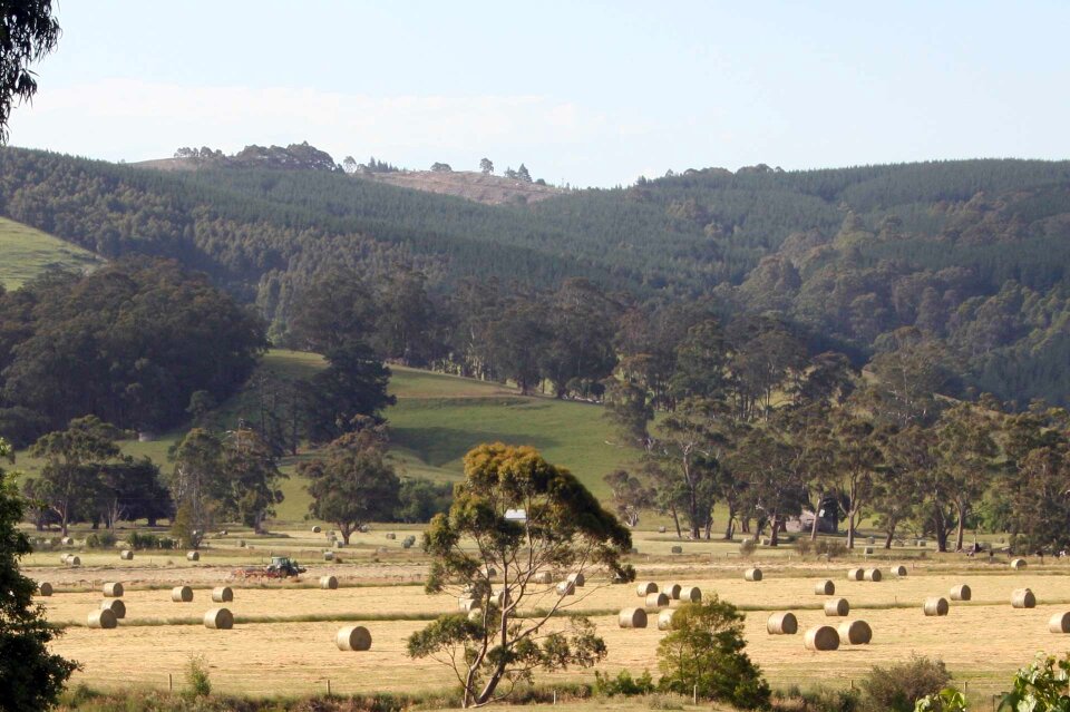 Crop scenic agricultural