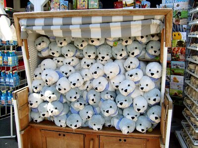 Plush toys seal north sea