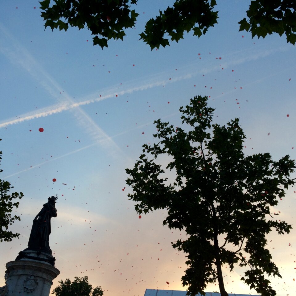 Republic sky paris