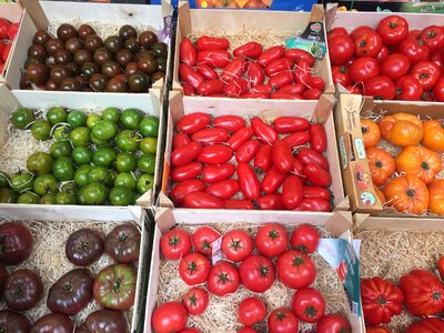 Red yellow green