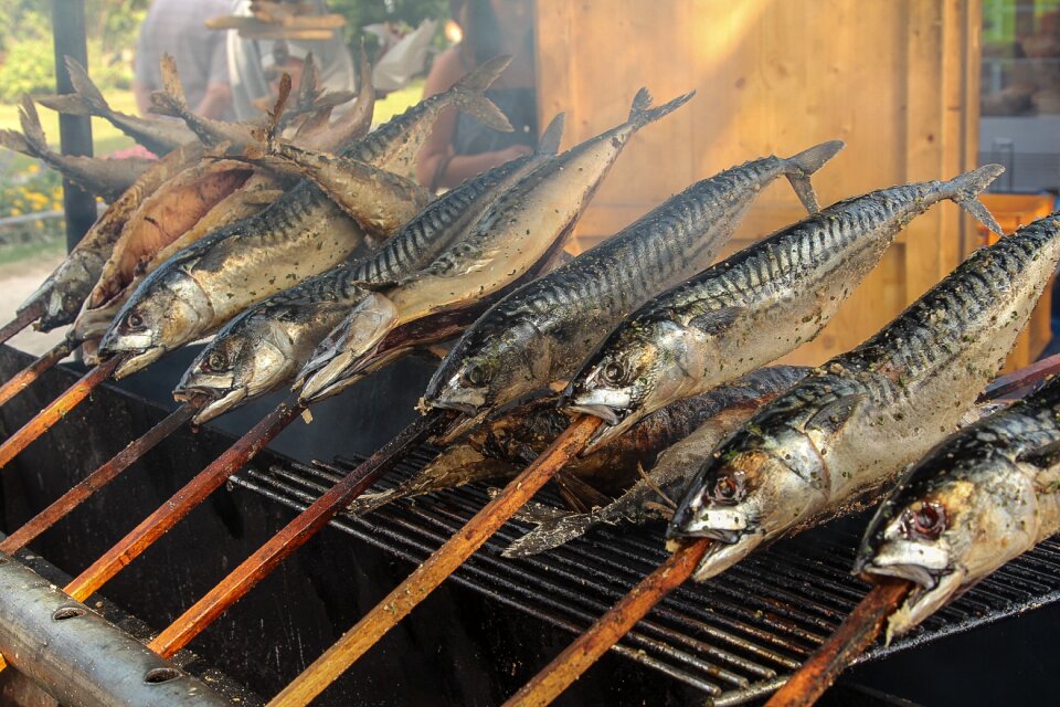 Eat smoked fish fish head