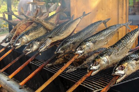 Eat smoked fish fish head photo