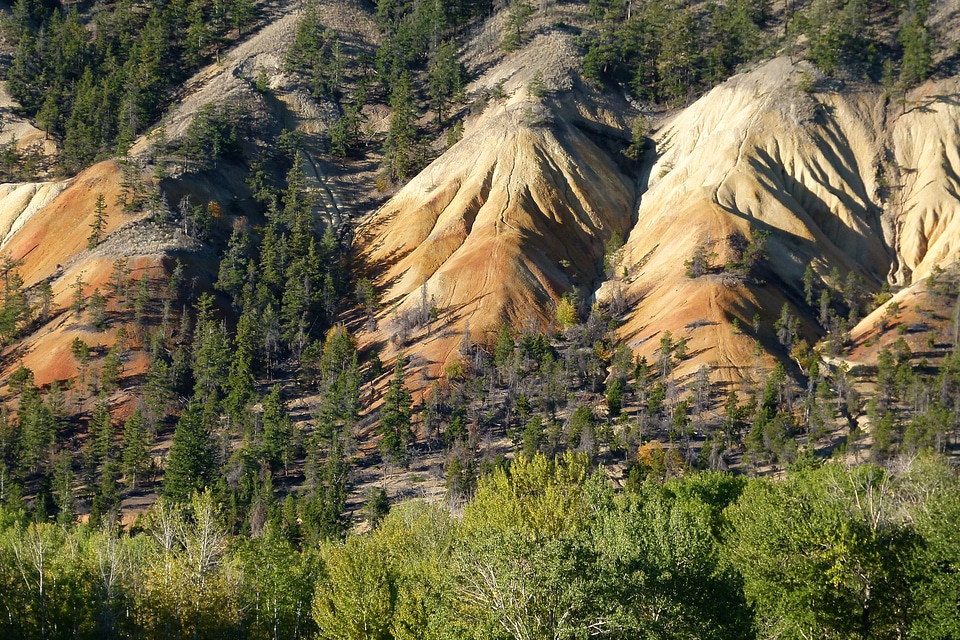 Cariboo landscape scenery