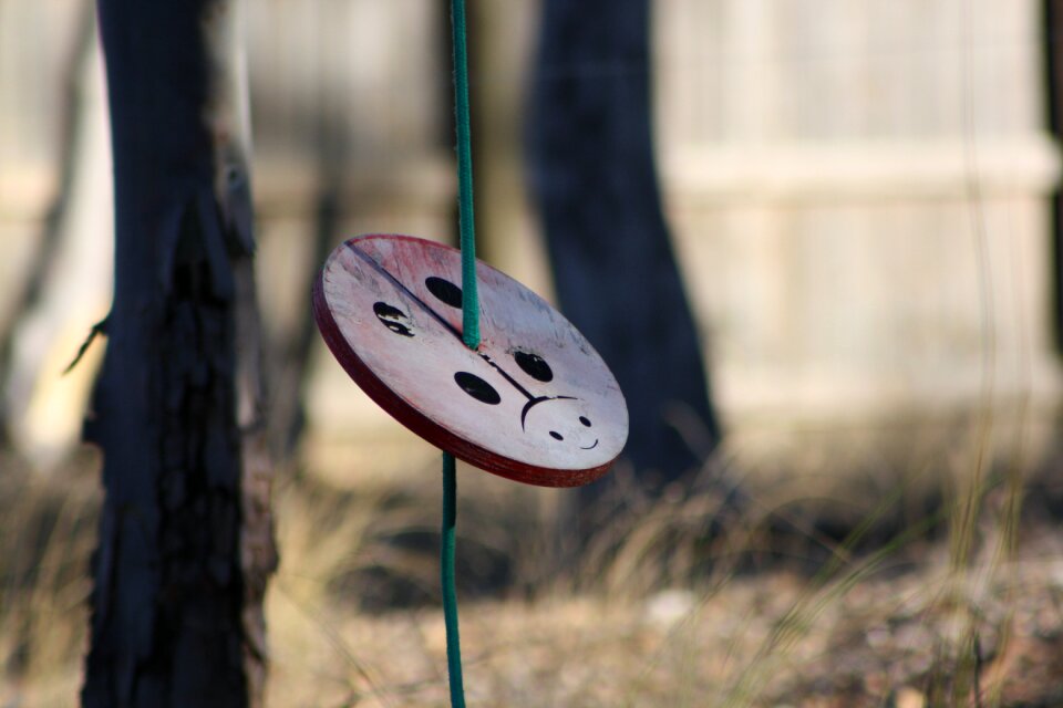 Game ladybird ladybug