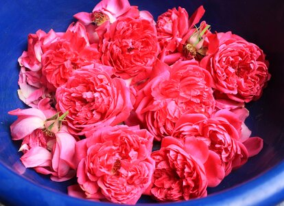 Aromatherapy flower
