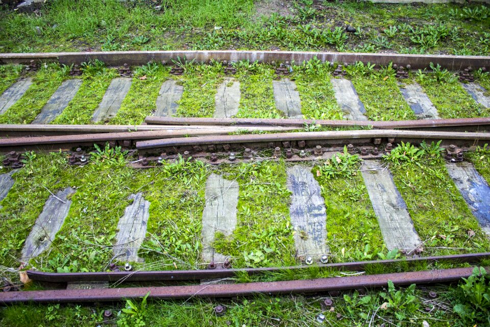 Grass green transport