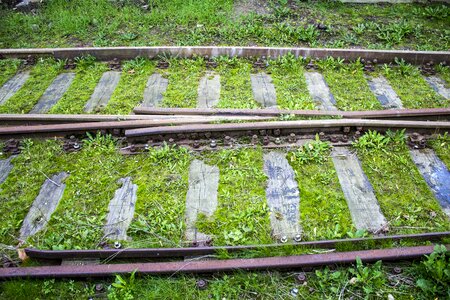 Grass green transport