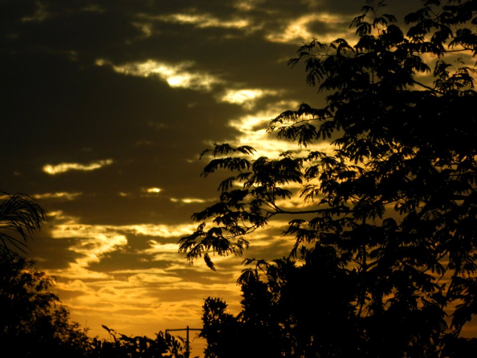 Clouds branch rays of sunshine photo