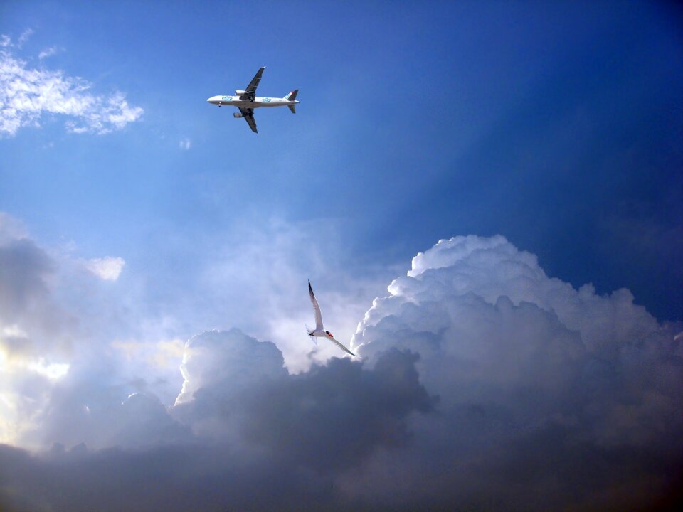 Trip aeronautics fly