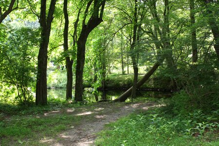 Nature landscape summer photo