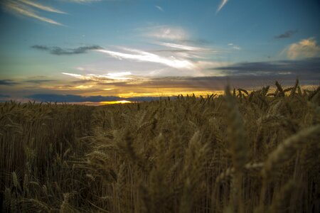 Blue white-a surname beautiful landscape