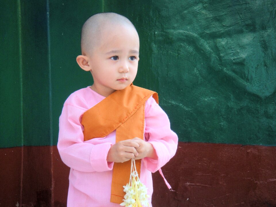 Monk sweet diffident