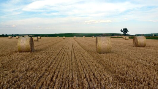 At nierstein round bales harvested