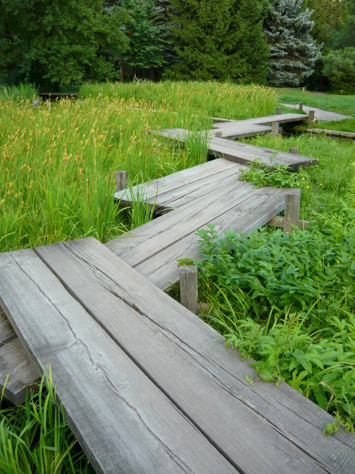 Japan gangway wooden
