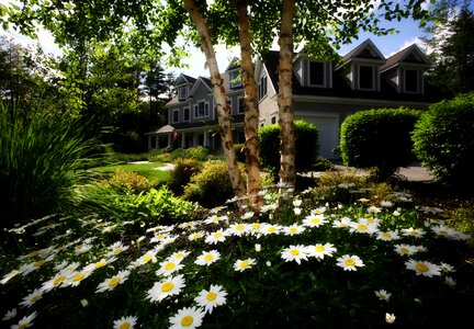 Real estate residence home