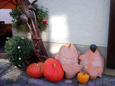 Fish hauswand ulm