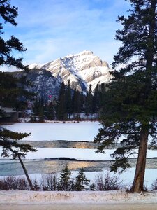 Cold winter landscape trees photo