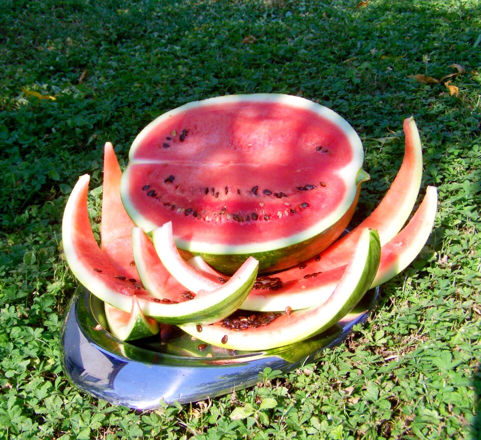 Melon watermelon fruit