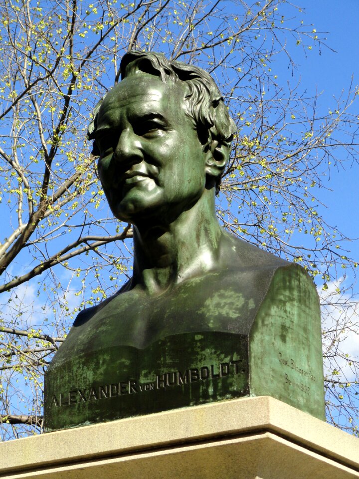 New york explorer bust